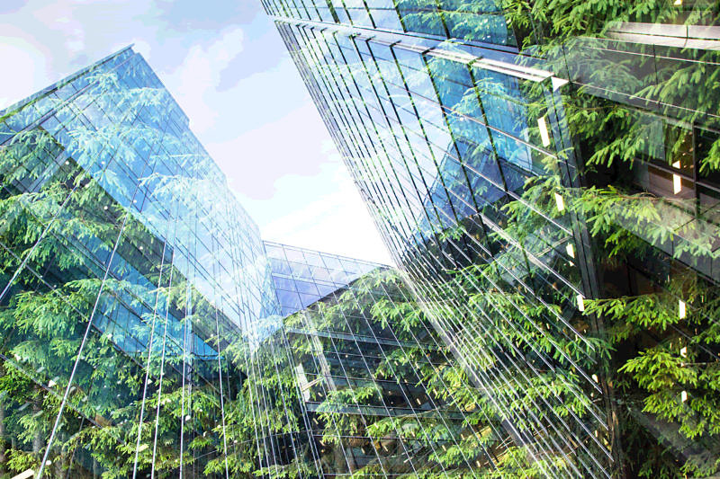 Sustainability marketing, green marketing, and eco-marketing: the green guide has it all